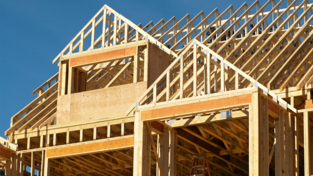 Untitled design (19)